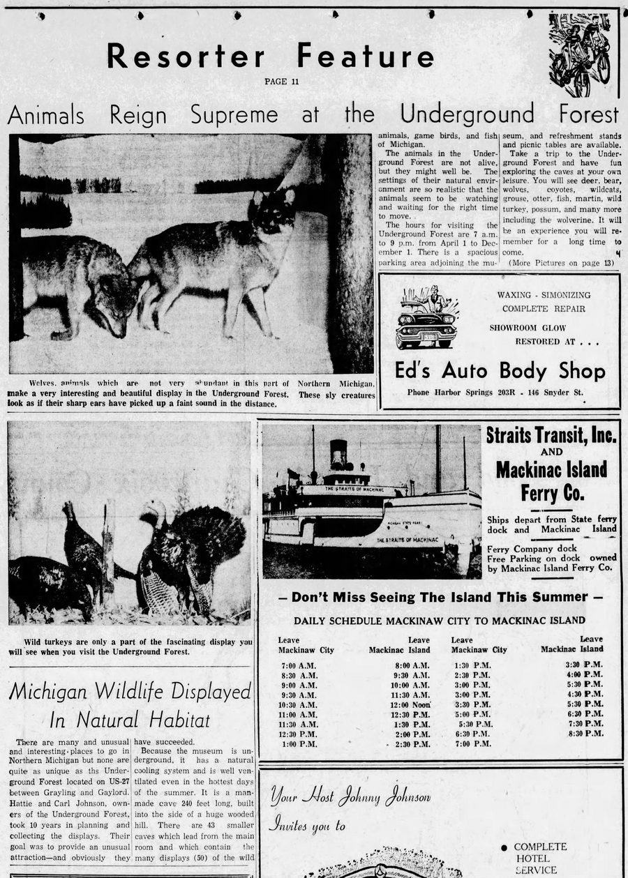 Underground Forest - Aug 1961 Feature